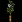 柊鰯.png 柊鰯.png