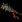 棍棒.png 棍棒.png