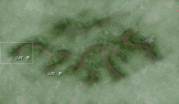 山村参側の瘴気空間.jpg 山村参側の瘴気空間.jpg