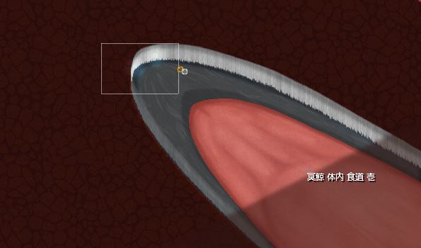 inside01.jpg inside01.jpg