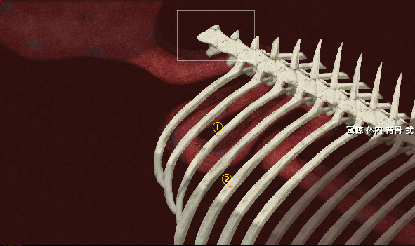 inside04.png inside04.png