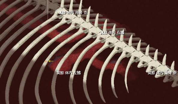 inside05.png inside05.png