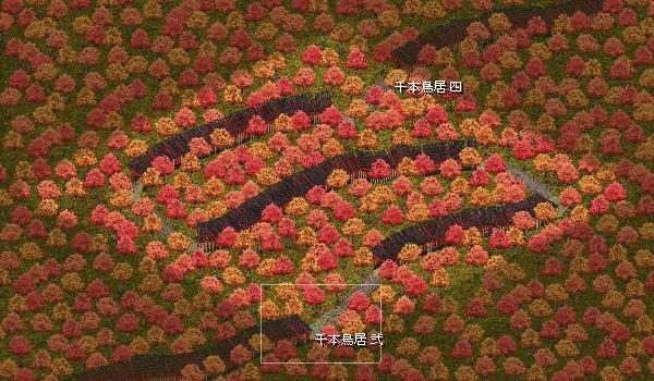 千本鳥居 参.jpg 千本鳥居 参.jpg