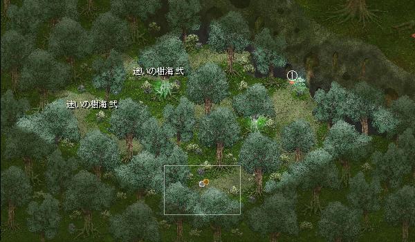 迷いの樹海 壱.jpg 迷いの樹海 壱.jpg